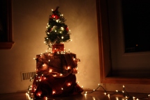 A student budget Christmas tree.